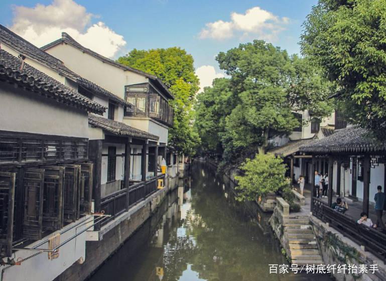 植物大战僵尸19